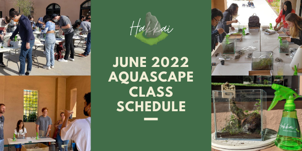 June 2022 Aquascape Class/Workshop Schedule At Hakkai Liberty Station.