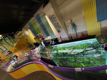 Load image into Gallery viewer, UNS 120U Aquascape Display – “Elderfall Refuge”