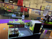 Load image into Gallery viewer, Pascal’s Pond – Shallow-Style Micro Aquascape