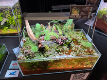 Load image into Gallery viewer, Pascal’s Pond – Shallow-Style Micro Aquascape