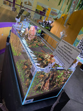 Load image into Gallery viewer, “Blue Mountains” – Signature UNS 90L Aquascape Display