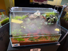 Load image into Gallery viewer, UNS 45E Paludarium ā Compact, Lush, and Full of Life