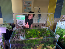 Load image into Gallery viewer, Logan Rando Signature 90P Aquascape ā "Curated Balance"