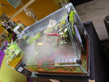 Load image into Gallery viewer, UNS 45E Paludarium ā Compact, Lush, and Full of Life