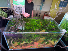 Load image into Gallery viewer, Logan Rando Signature 90P Aquascape ā "Curated Balance"