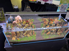 Load image into Gallery viewer, “Blue Mountains” – Signature UNS 90L Aquascape Display
