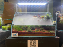 Load image into Gallery viewer, UNS 45E Paludarium ā Compact, Lush, and Full of Life