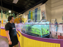 Load image into Gallery viewer, UNS 120U Aquascape Display – “Elderfall Refuge”