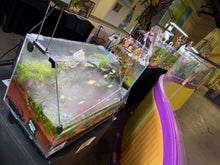 Load image into Gallery viewer, UNS 45E Paludarium ā Compact, Lush, and Full of Life