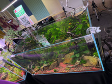 Load image into Gallery viewer, Logan Rando Signature 90P Aquascape ā "Curated Balance"