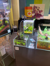 Load image into Gallery viewer, Pascal’s Pond – Shallow-Style Micro Aquascape
