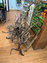 Load image into Gallery viewer, Tom Barr's Premium Manzanita Wood for Aquascaping – Natural Aquarium Driftwood