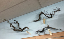 Load image into Gallery viewer, Tom Barr's Premium Manzanita Wood for Aquascaping – Natural Aquarium Driftwood