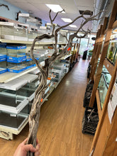 Load image into Gallery viewer, Tom Barr's Premium Manzanita Wood for Aquascaping – Natural Aquarium Driftwood