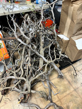 Load image into Gallery viewer, Tom Barr's Premium Manzanita Wood for Aquascaping – Natural Aquarium Driftwood