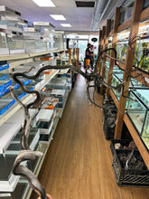 Load image into Gallery viewer, Tom Barr's Premium Manzanita Wood for Aquascaping – Natural Aquarium Driftwood