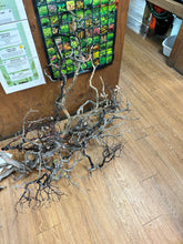 Load image into Gallery viewer, Tom Barr's Premium Manzanita Wood for Aquascaping – Natural Aquarium Driftwood