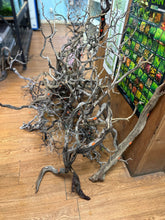 Load image into Gallery viewer, Tom Barr's Premium Manzanita Wood for Aquascaping – Natural Aquarium Driftwood