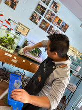 Load image into Gallery viewer, Walstad Nature Style Aquascape Workshop