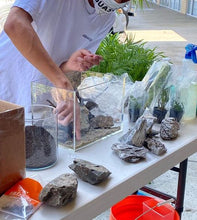 Load image into Gallery viewer, Classic Nature Aquarium Workshop