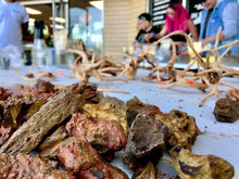 Load image into Gallery viewer, Classic Nature Aquarium Workshop