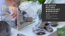 Load image into Gallery viewer, Classic Nature Aquarium Workshop