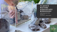 Load image into Gallery viewer, Classic Nature Aquarium Workshop