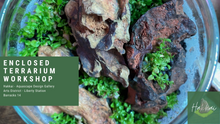 Load image into Gallery viewer, Enclosed Terrarium Workshop
