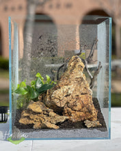 Load image into Gallery viewer, Classic Nature Aquarium Workshop