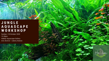 Load image into Gallery viewer, Jungle Aquascape Workshop
