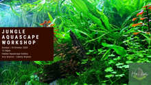 Load image into Gallery viewer, Jungle Aquascape Workshop