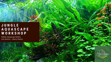Load image into Gallery viewer, Jungle aquascape workshop at Hakkai Aquascape Gallery in Point Loma, San Diego, CA

