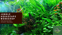 Load image into Gallery viewer, Jungle aquascape workshop at Hakkai Aquascape Gallery in Point Loma, San Diego, CA