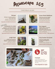Load image into Gallery viewer, Aquascape DIY Starter Kit