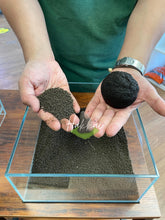 Load image into Gallery viewer, Wabi-Kusa Aquascape Workshop