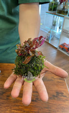 Load image into Gallery viewer, Wabi-Kusa Aquascape Workshop