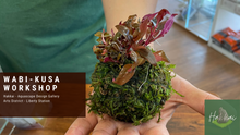 Load image into Gallery viewer, Wabi-Kusa Aquascape Workshop