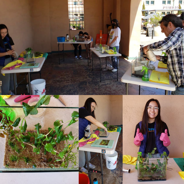 Our Very First Walstad Method Aquascape Workshop Here At Hakkai