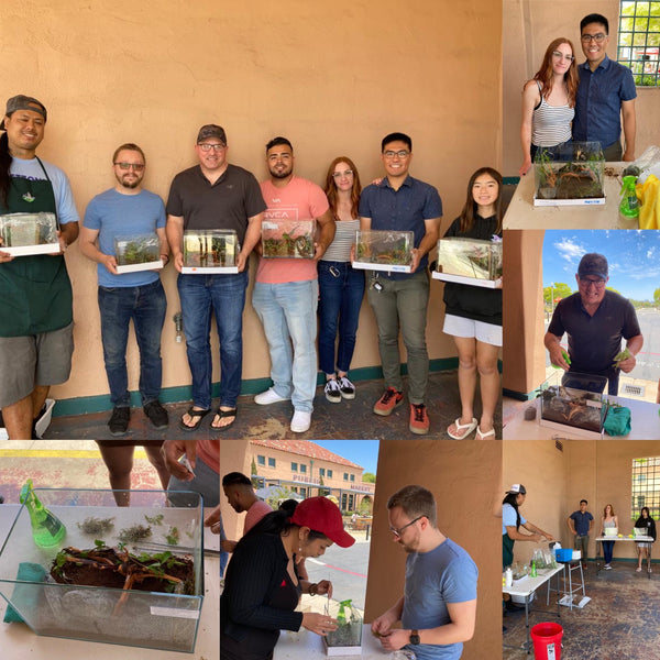 Our First Jungle Style Aquascape Class In Months!