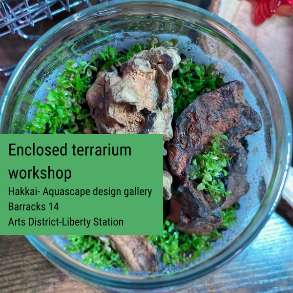 New Aquascape Workshop: Enclosed Terrarium Workshop