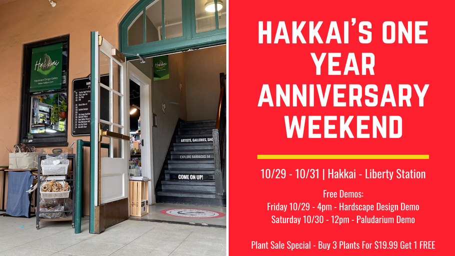 Hakkai's One Year Anniversary Event - Sale + Free Demos