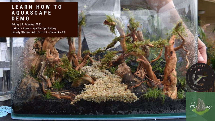 Learn How To Aquascape Demo - Friday January 8th 2021 - First Fridays Arts District Liberty Station