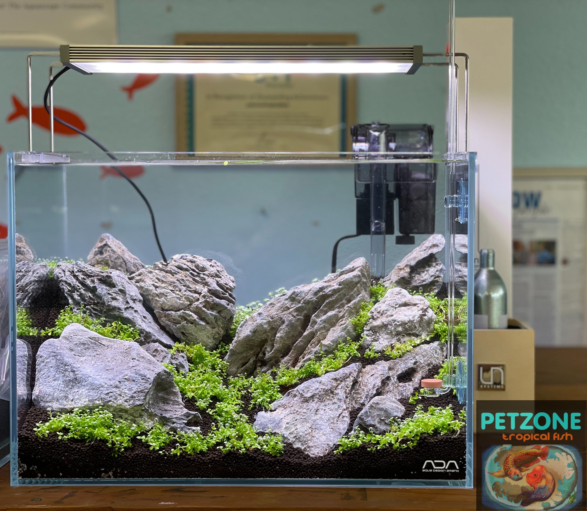 A planted aquascape on display inside a San Diego aquarium store, kept in the city's own tap water