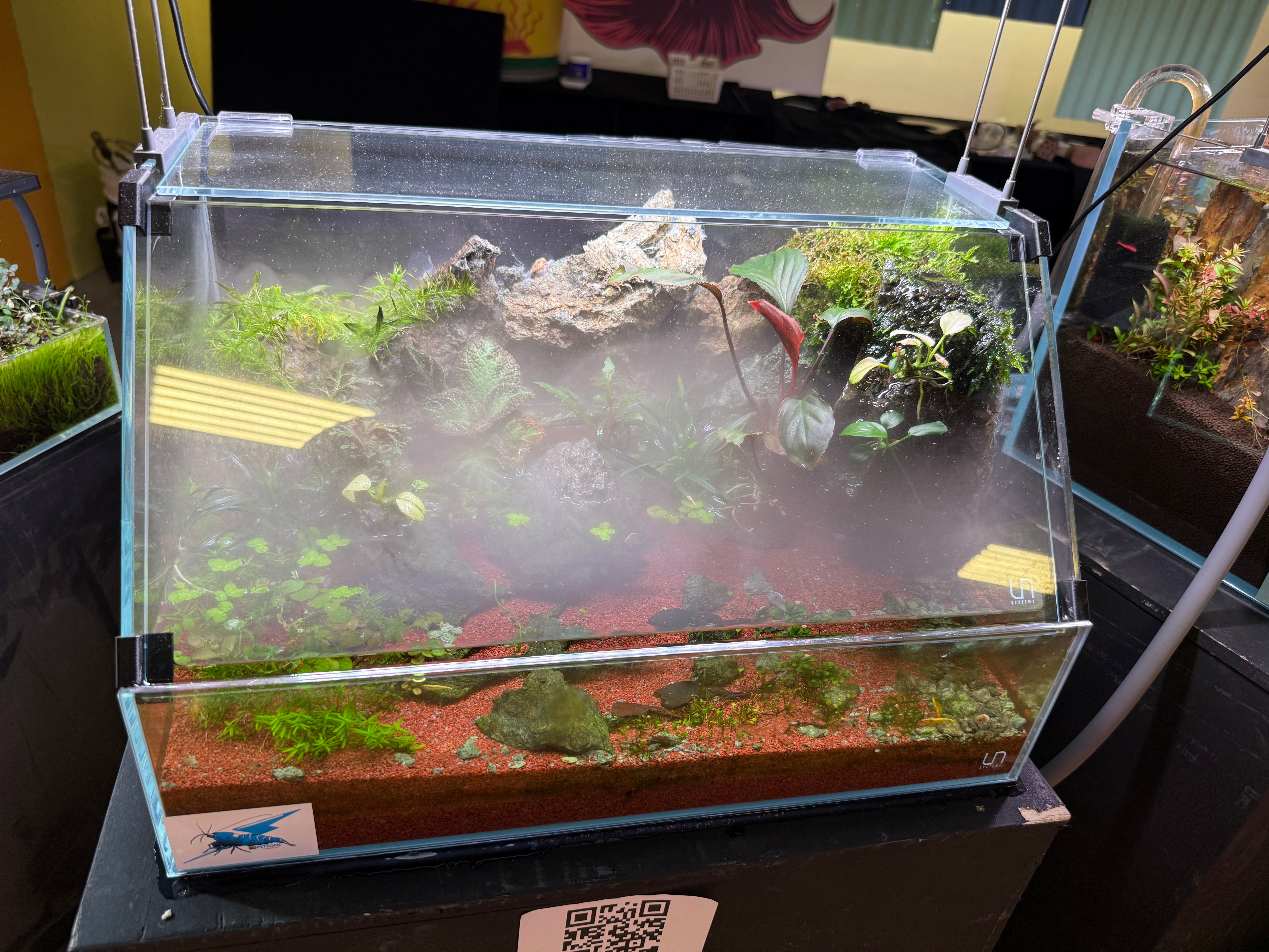 UNS 45E paludarium display, Hakkai Aquascape Gallery