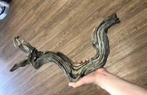 Tom Barr's Premium Manzanita Wood for Aquascaping – Natural Aquarium Driftwood