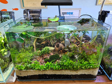 Load image into Gallery viewer, Walstad Nature Style Aquascape Workshop
