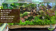 Load image into Gallery viewer, Walstad Nature Style Aquascape Workshop
