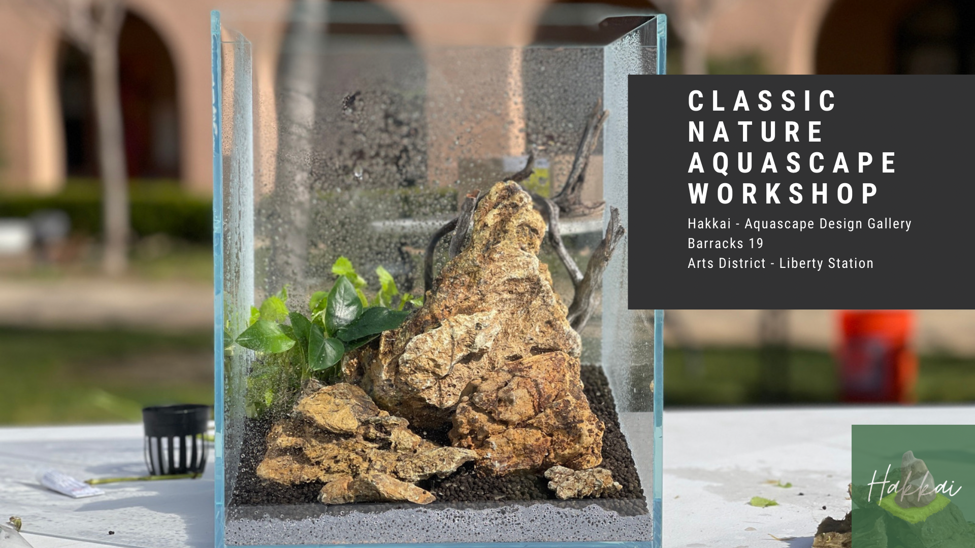 Aquatic Gardening Workshop - Nature Aquariums for Home Decor
